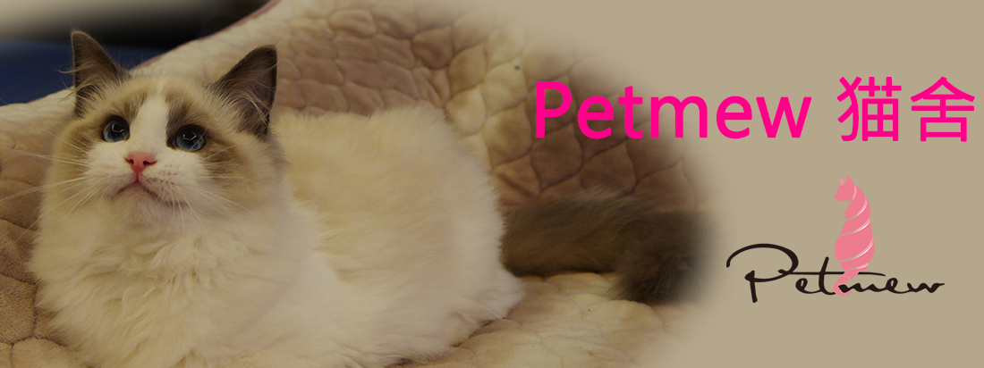 欢迎光临Petmew猫舍